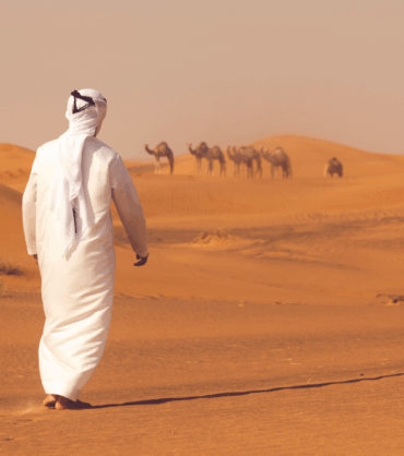 رجل إماراتي يرتدي الزي التقليدي يسير في الصحراء باتجاه قطيع من الجمال، يرمز لإجراءات تنفيذ وحجز الجمال في الإمارات